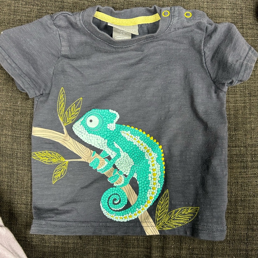 Jarvis Archer chameleon baby tshirt
